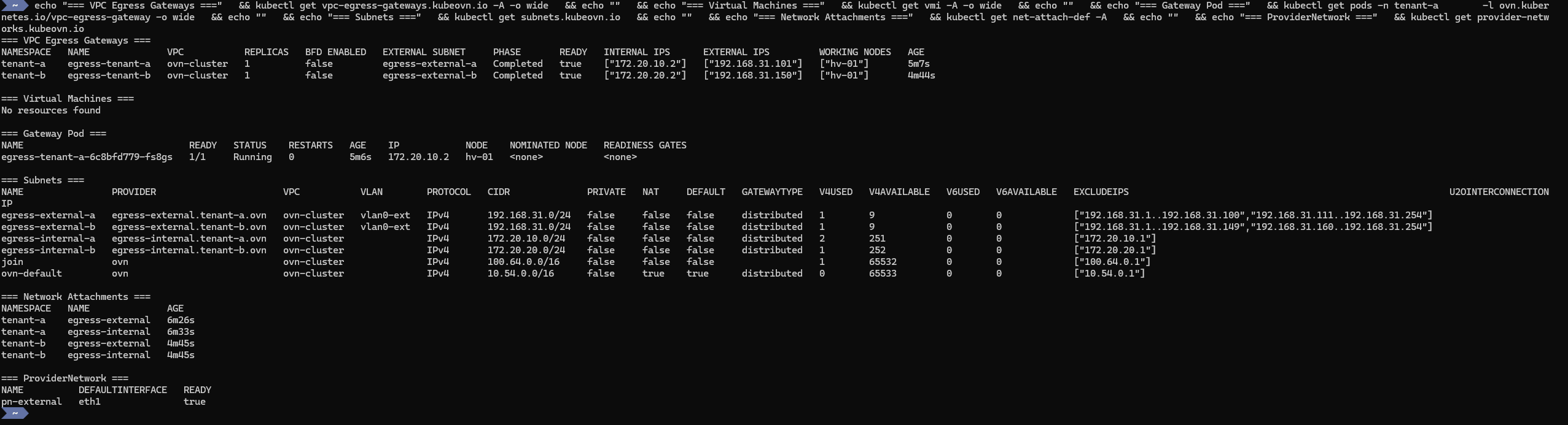 Full network details showing egress gateways, VMs, subnets, NADs, and provider network